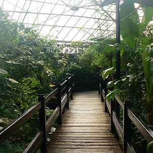 View in the Butterfly House - 10 April 2017
