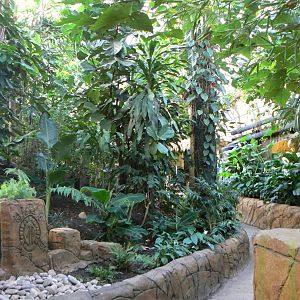 View in the Waterfall house - 10 April 2017