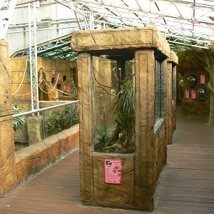 View - 10 April 2017