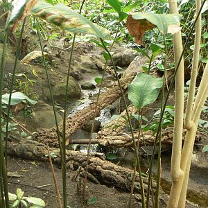 View - 10 April 2017