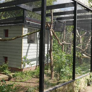 Eastern Quoll Enclosure @ Linton Zoo