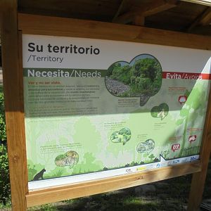 Iberian Lynx At Madrid - Signage