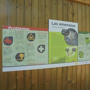 Iberian Lynx At Madrid - Signage