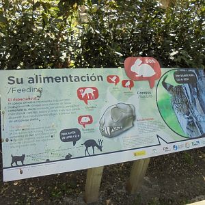 Iberian Lynx At Madrid - Signage