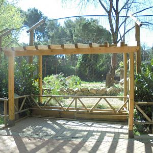 Iberian Lynx At Madrid - View Of Enclosure