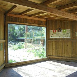 Iberian Lynx At Madrid - Viewing Shelter With Information Film And Signs