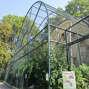 Vulture Aviaries