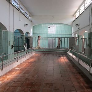 Inside the Rhino House