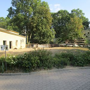 Black Rhino Outdoor Exhibit