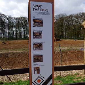 Hunting Dog Indentification