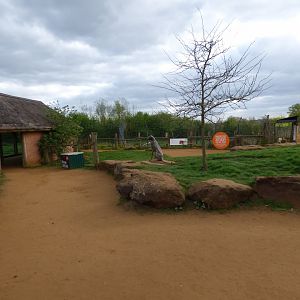 View of Cheetah Rock