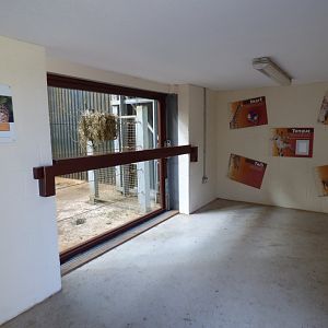 Giraffe Viewing Area