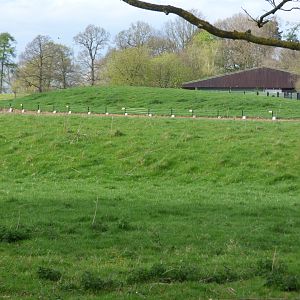 Seperated Part of Antelope Paddock