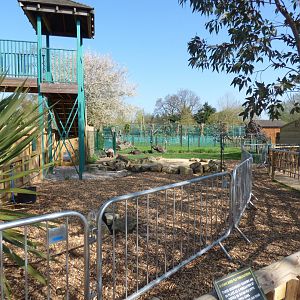 Emu Paddock in 'Outback Trail'