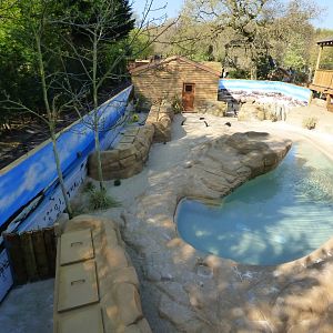 View of 'Penguin Falls' (Jackass Penguin)