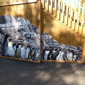 'Penguin Falls' Signage