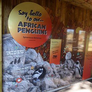 'Penguin Falls' Signage