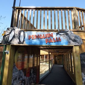 'Penguin Falls' Entrance