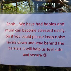 Signage on Cotton-Top Tamarin Exhibit