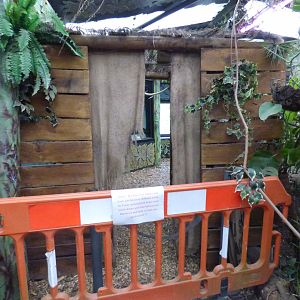 Blocked-Off part of the Rainforest Exhibit