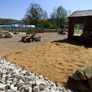 New Bactrian Camel Exhibit