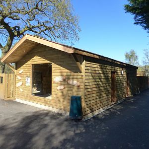 Bennet's Wallaby House