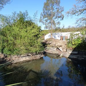 Disused Island (Former Squirrel Monkey)