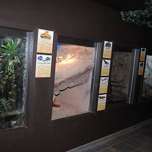 Reptile and Amphibian Discovery Center - interior