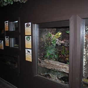 Reptile and Amphibian Discovery Center - interior