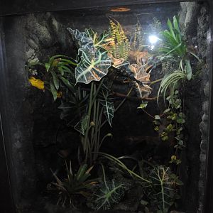 Reptile and Amphibian Discovery Center