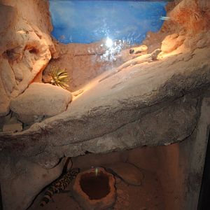 Reptile and Amphibian Discovery Center