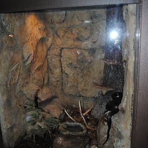 Reptile and Amphibian Discovery Center