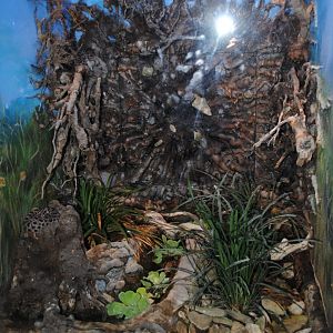 Reptile and Amphibian Discovery Center