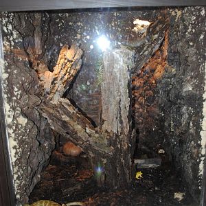 Reptile and Amphibian Discovery Center