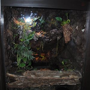 Reptile and Amphibian Discovery Center