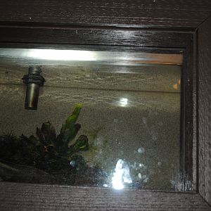 Reptile and Amphibian Discovery Center