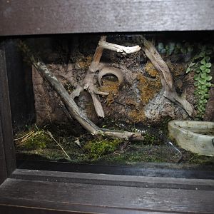 Reptile and Amphibian Discovery Center