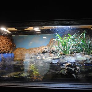 Reptile and Amphibian Discovery Center
