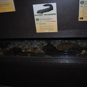 Reptile and Amphibian Discovery Center