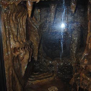 Reptile and Amphibian Discovery Center