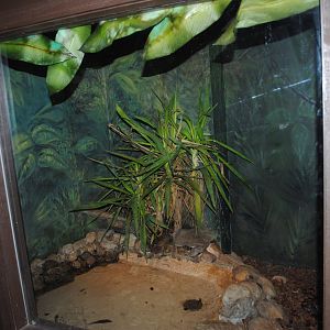Reptile and Amphibian Discovery Center