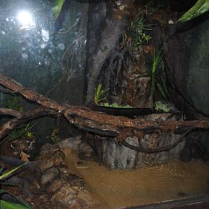 Reptile and Amphibian Discovery Center