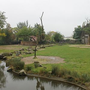 Kudu-giraffe enclosure