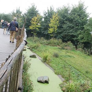 Spotted hyena enclosure