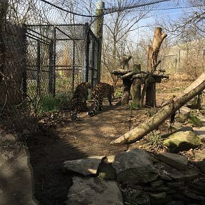 Size comparison between Semba and her mom candy