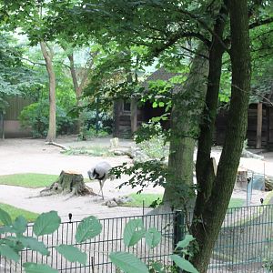 South America-enclosure