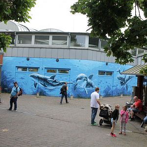 Mural Delphinarium