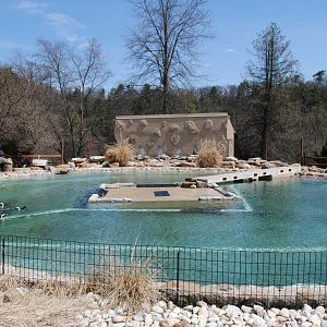 African Penguins Exhibit