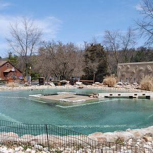 African Penguins Exhibit