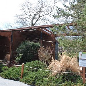 Birds of Prey Exhibits